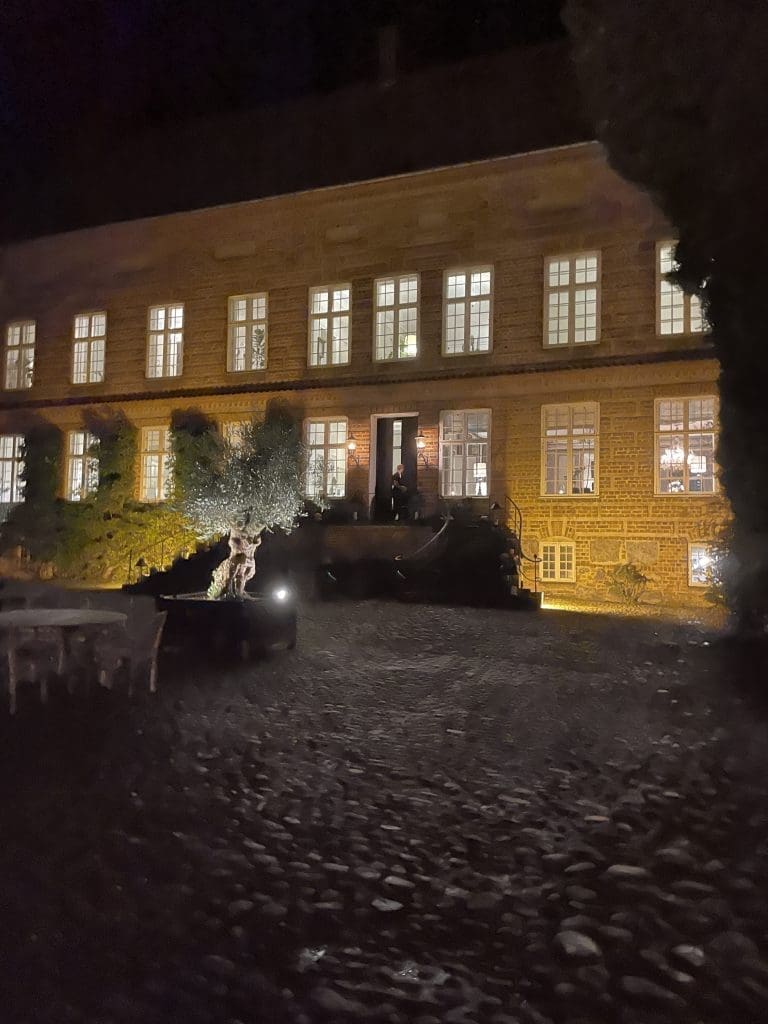 Dj til firmafesten på Holckenhavn Slot